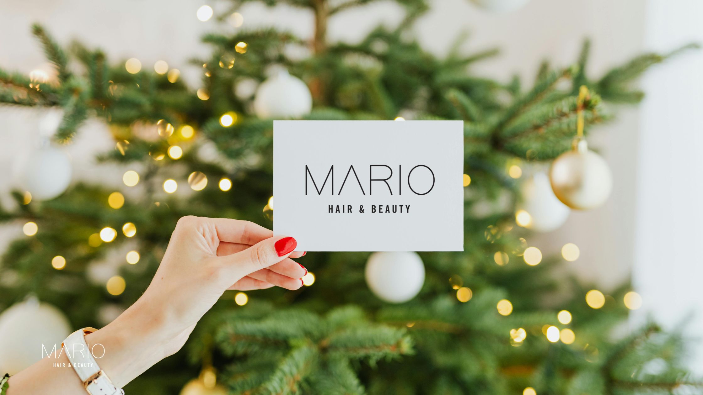 Mario Peluqueria Castellon -Tarjeta de regalos de Navidad