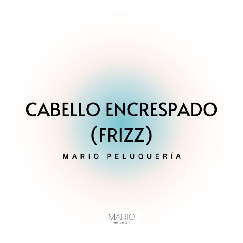 Cabello encrespado (frizz)