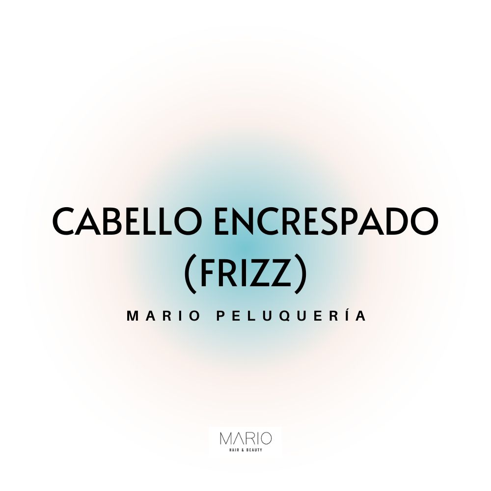 Mario Peluqueria Castellón - Productos para cabello encrespado o frizz