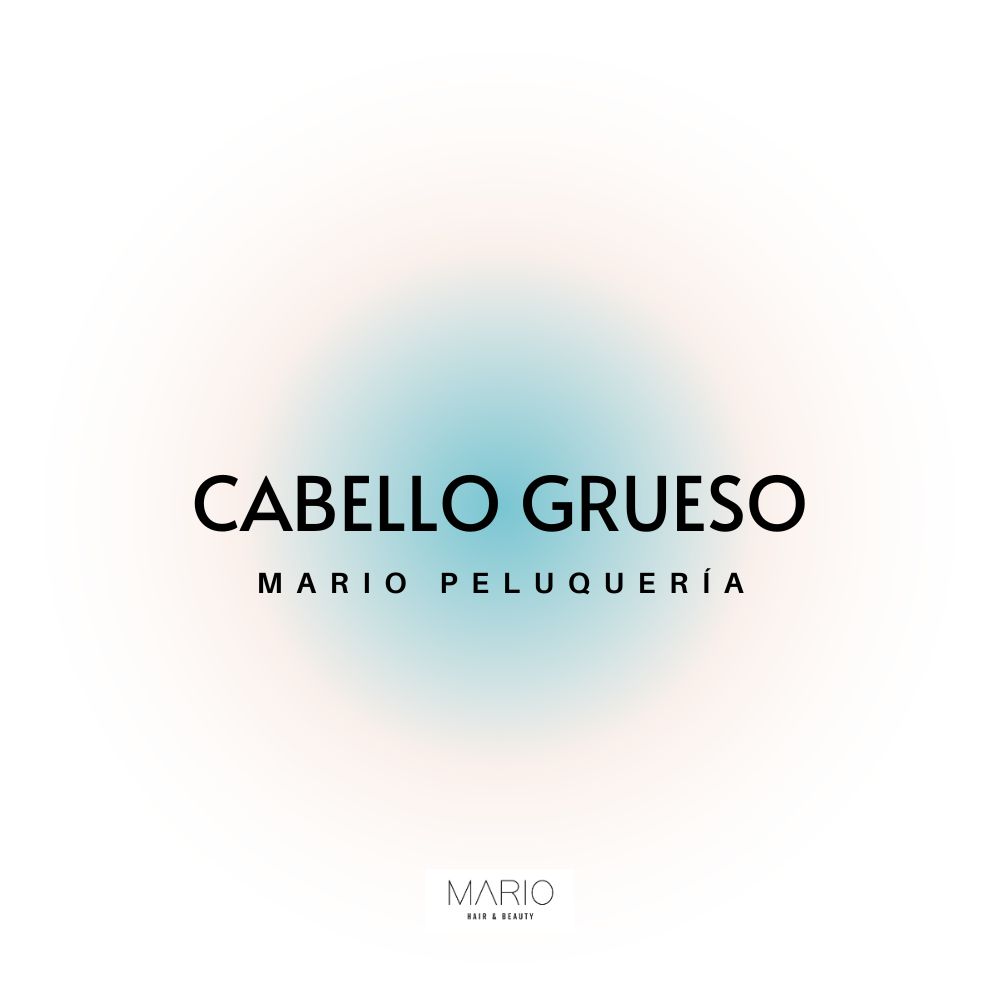 Mario Peluqueria Castellón - Productos para cabello grueso