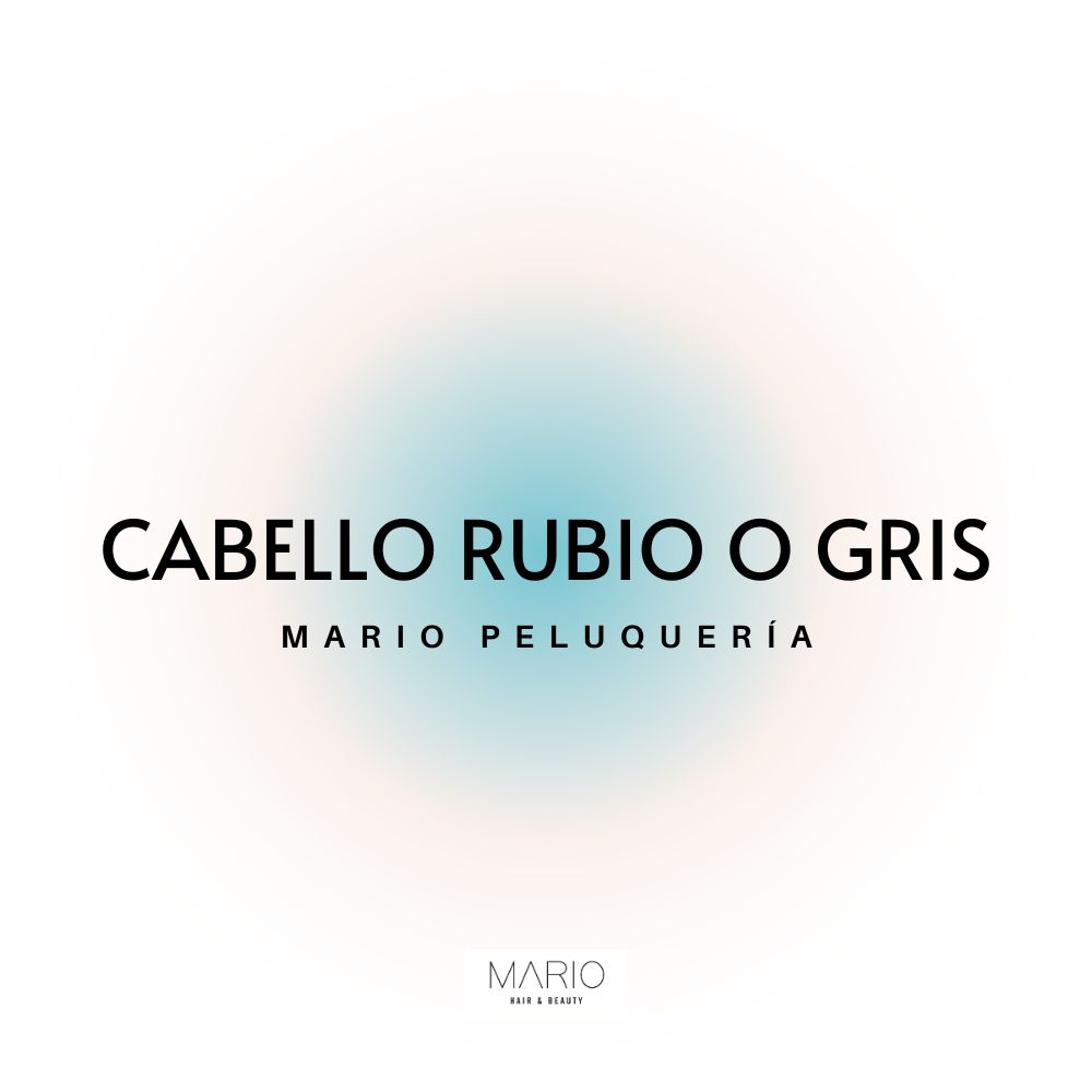 Mario Peluqueria Castellón - Productos para cabello rubio o gris