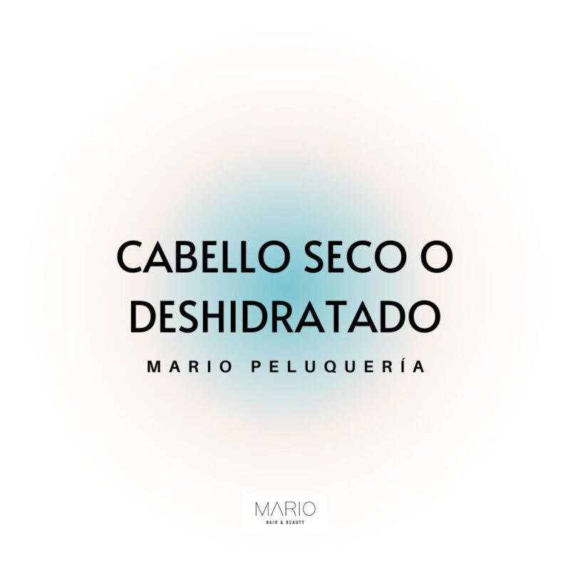Cabello seco o deshidratado