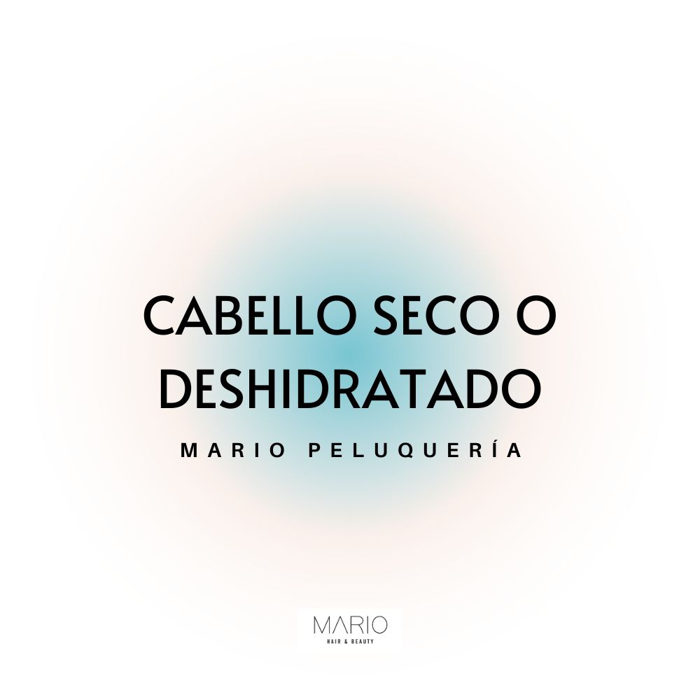 Mario Peluqueria Castellón - Productos para cabello seco o deshidratado